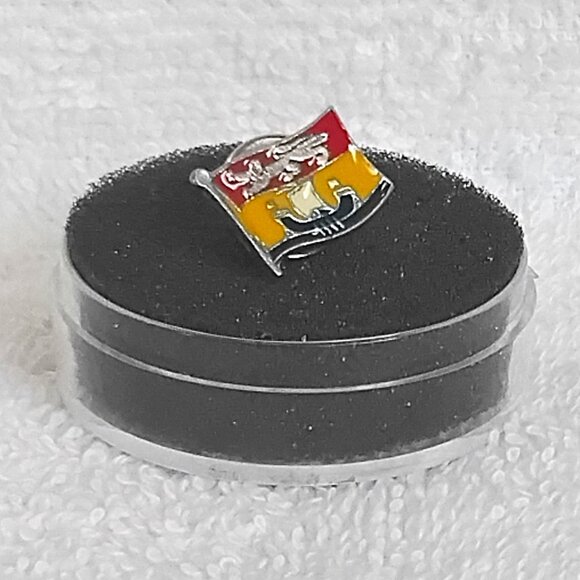 New Brunswick Canadian Provincial Metal & Enamel Flag Pin!! - Picture 1 of 2